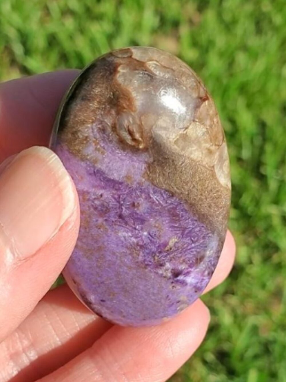 Charoite Oval Palm Stone from Syberia (T)